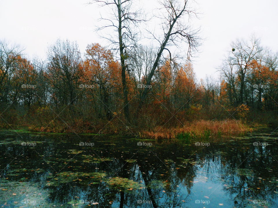 autumn by the lake