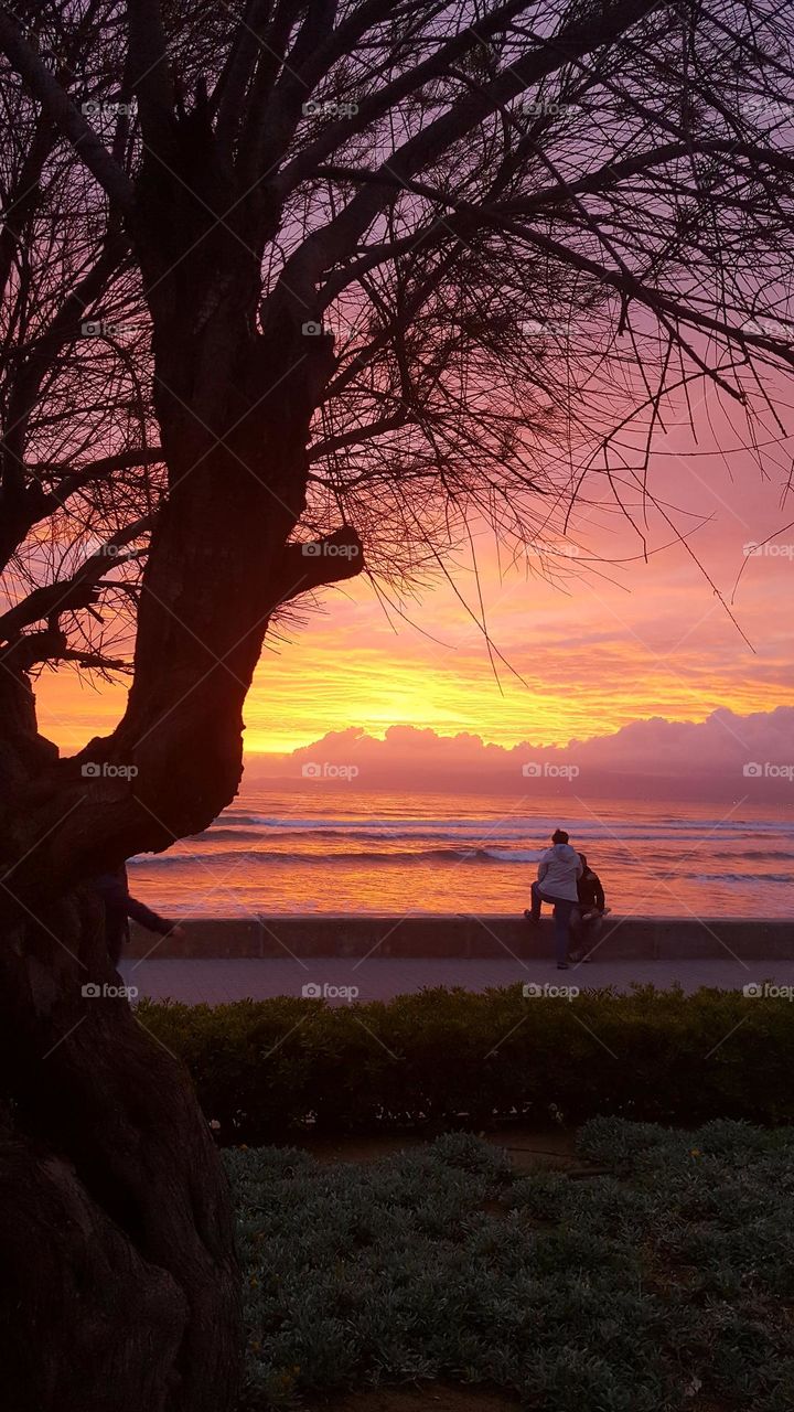 Amazing sunset. Beautiful scenery. Seashore. People enjoy the view of the sunset over the sea.