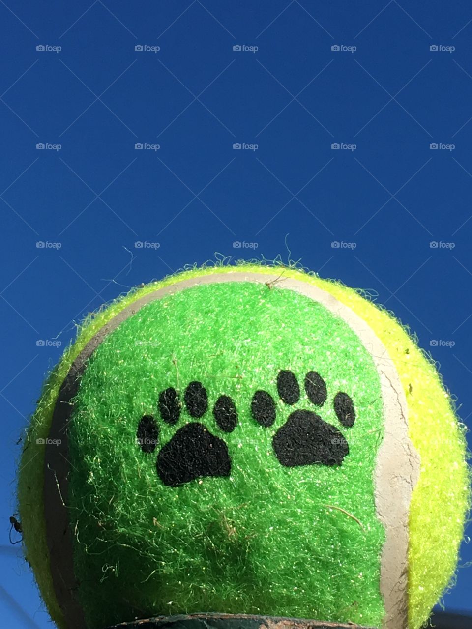 Green table tennis ball dog toy with paw prints against vivid blue sky, space for text 