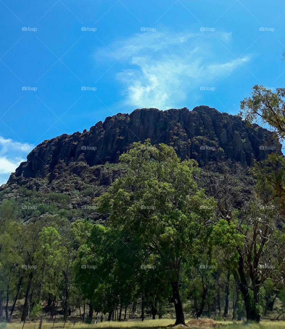 looking from the ground up at beautiful trees , Rock formation and Clear sky photograph taken in coonabarrabran NSW Australia