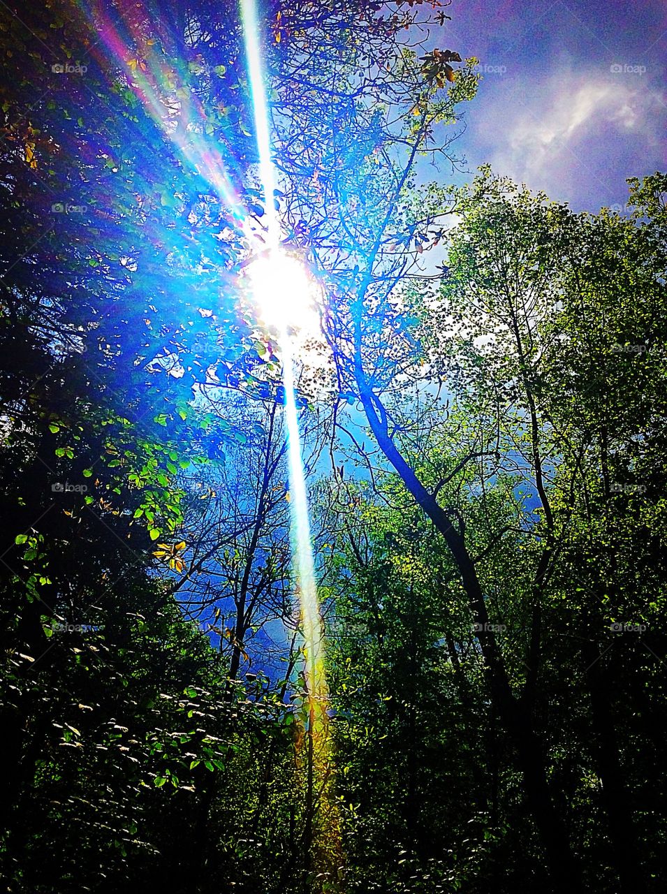 Sunny day in the mountains!