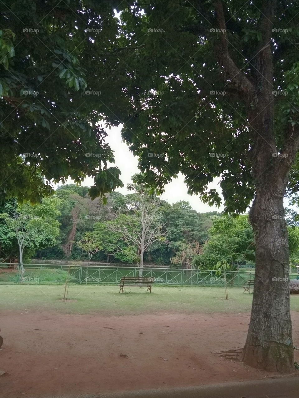 Árvores, água e assento ao  ar livre!