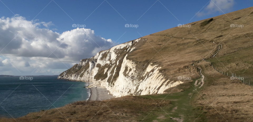 White Cliffs of Dorset, views of the sea and grass