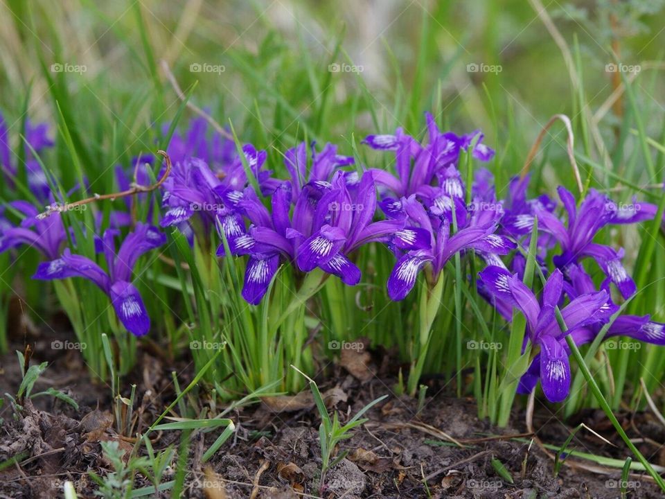 Красоты Кузбасса