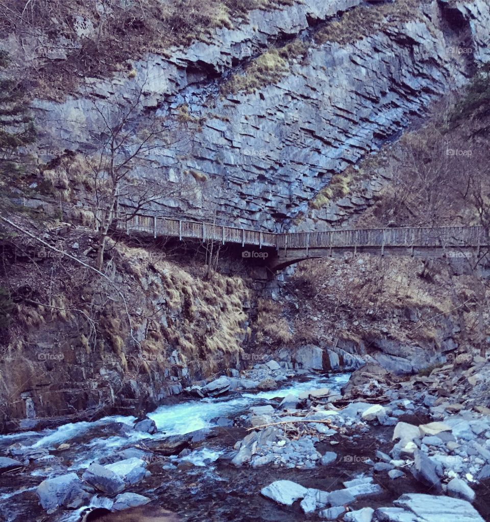 Newly Discovered Running Trail