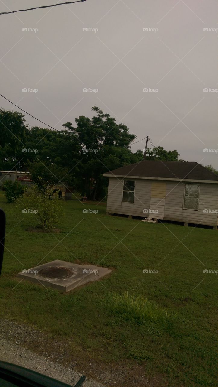 Landscape, Tree, House, No Person, Home