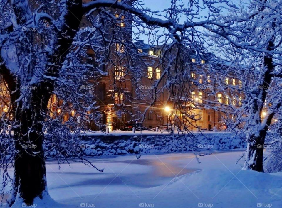 Winter evening in the park