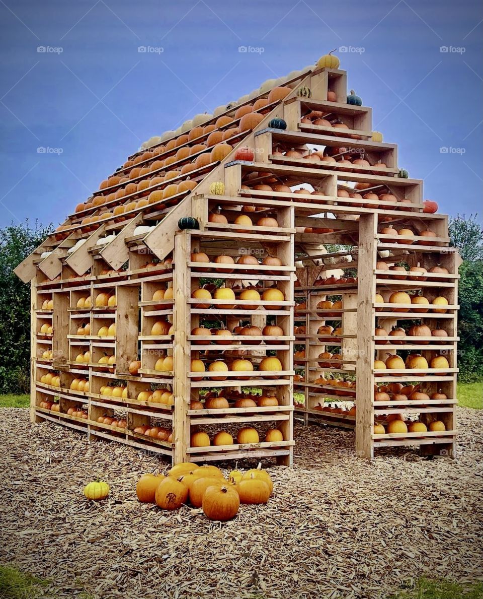 pumpkin house