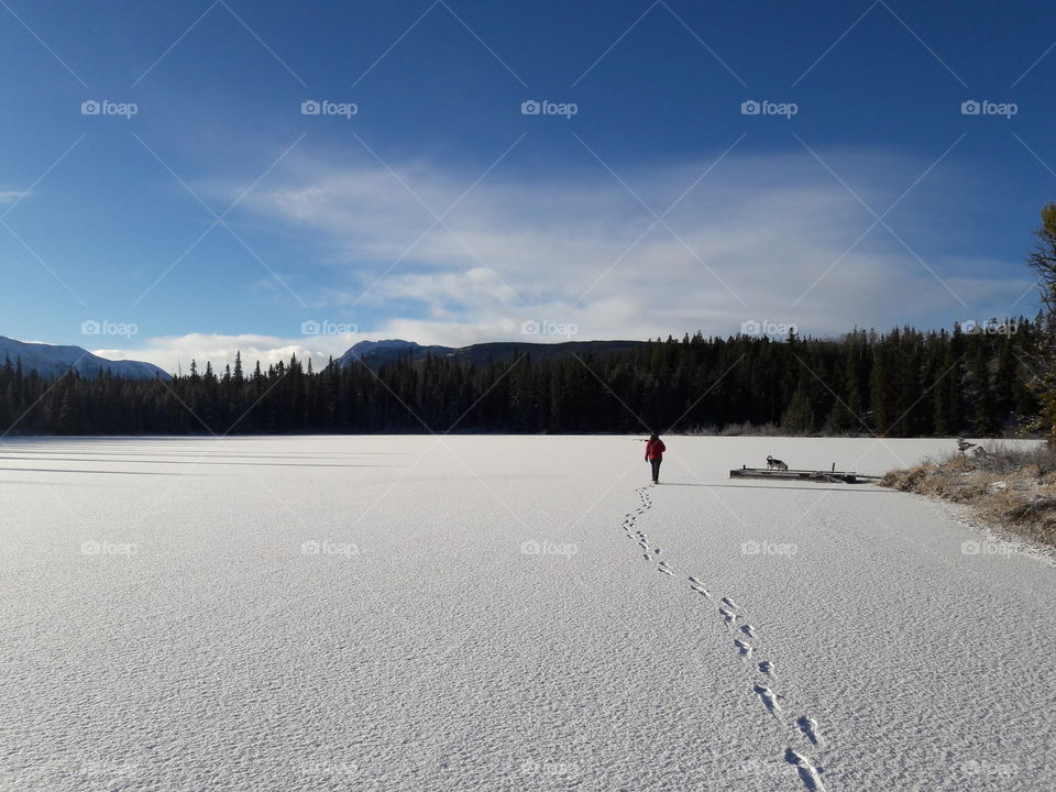 Frozen pond walk