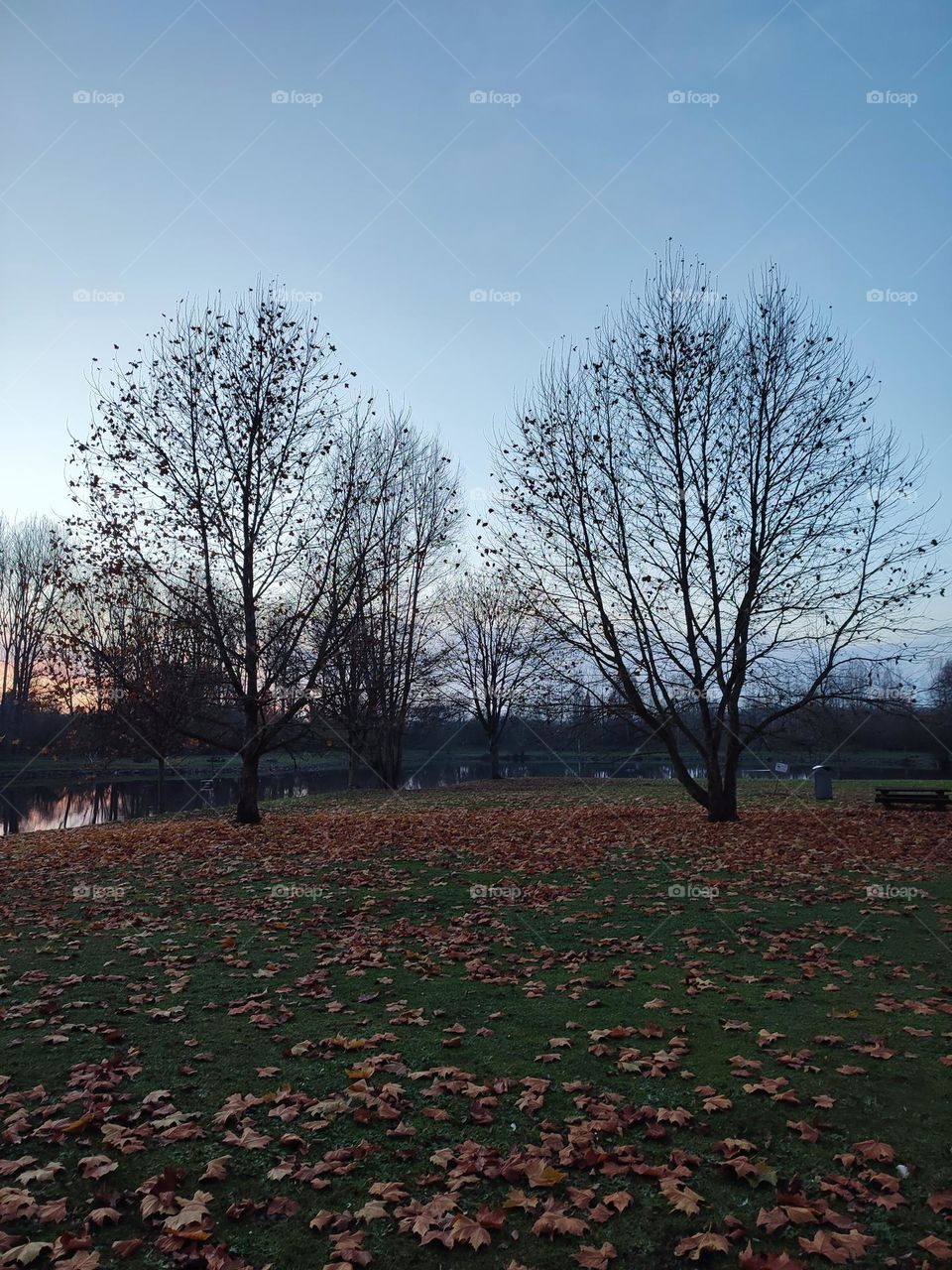 Ponds of Strepy Bracquegnies