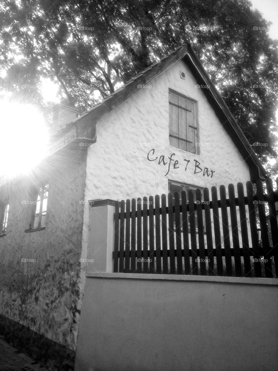 "The most colorful thing in the world is black and white, it contains all colors and at the same time excludes all."
~ Vikrmn, 10 Alone