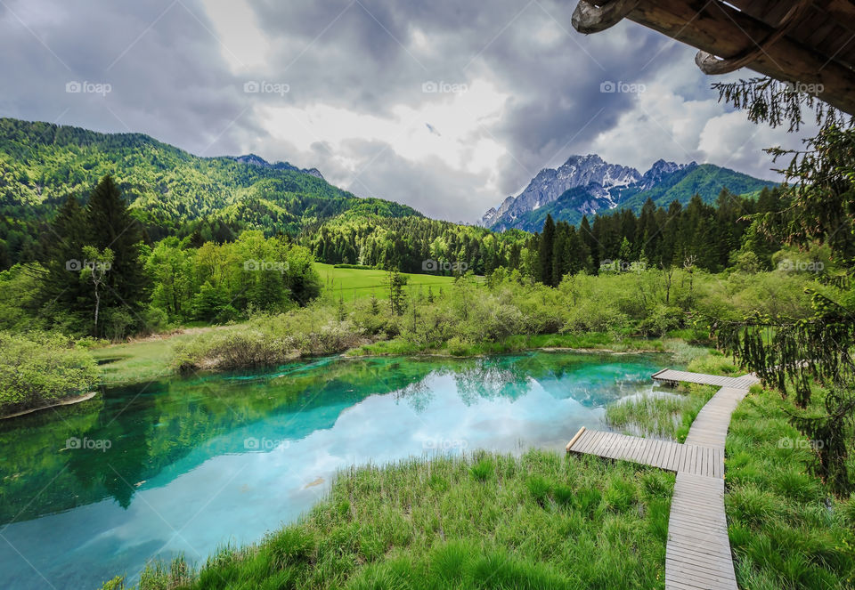 Beautiful scenery of river source in the Slovenian nature, summertime 