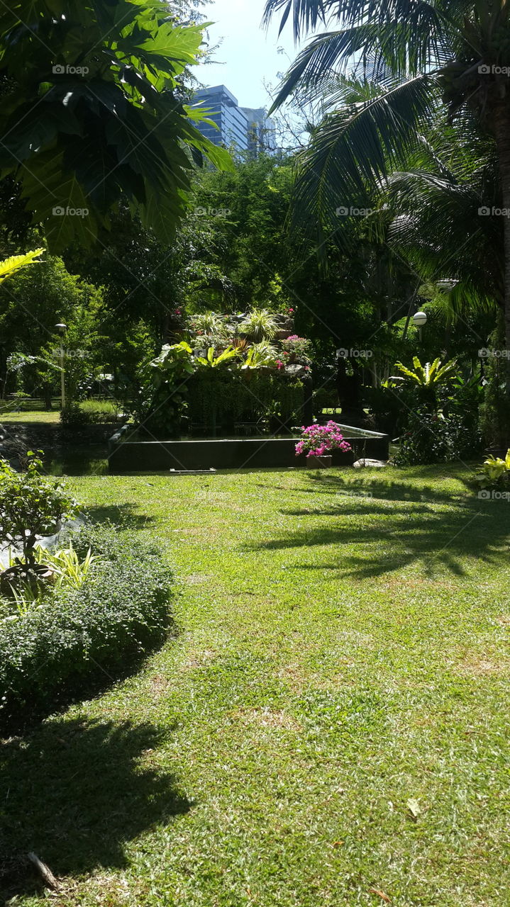 A very stunning water feature.