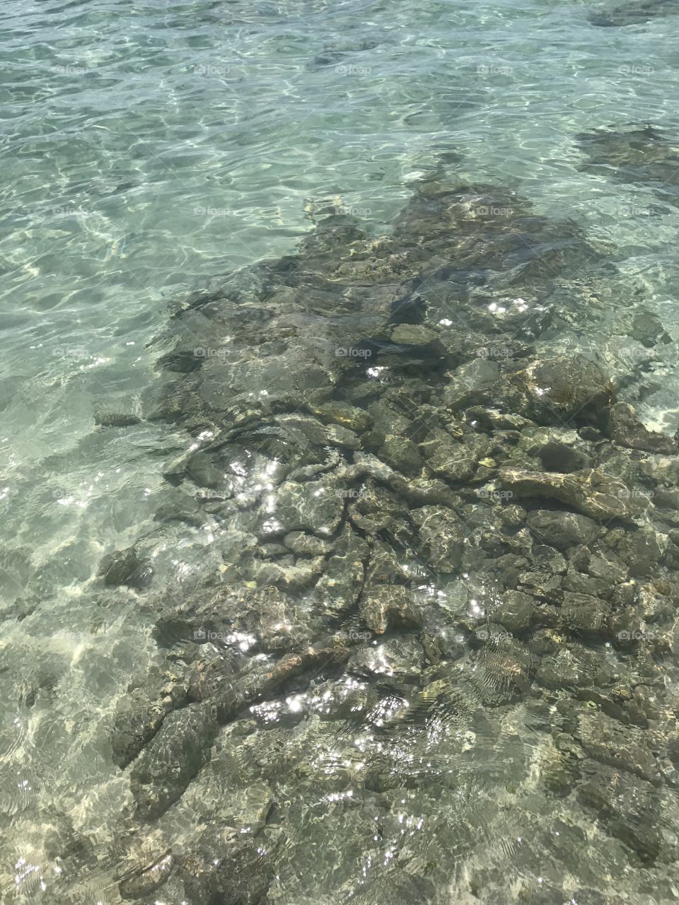 Clear view of rocks underwater