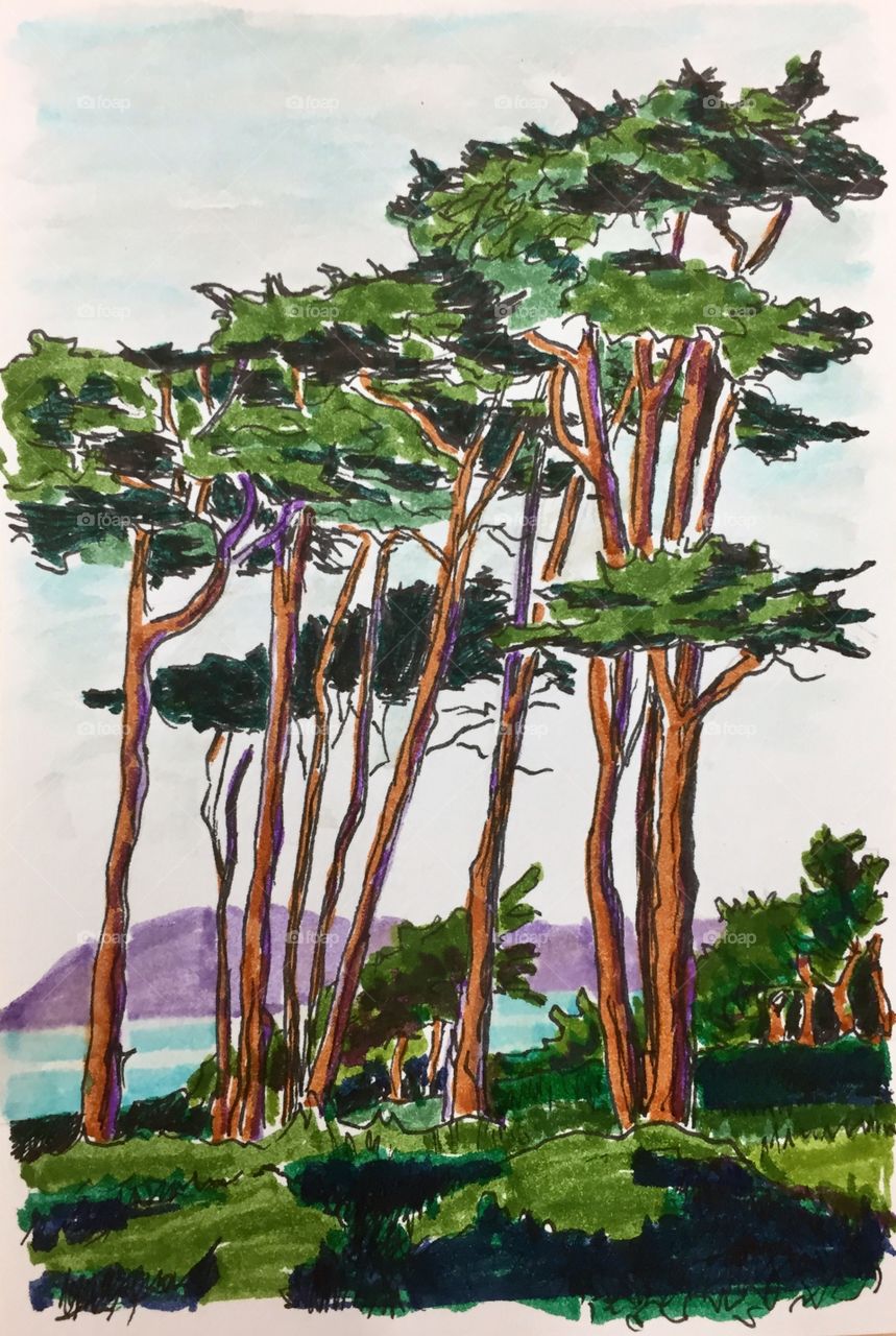 Illustration Trees, ocean beach 