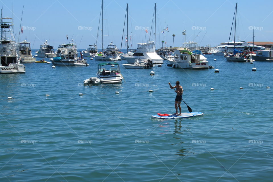 Paddle board