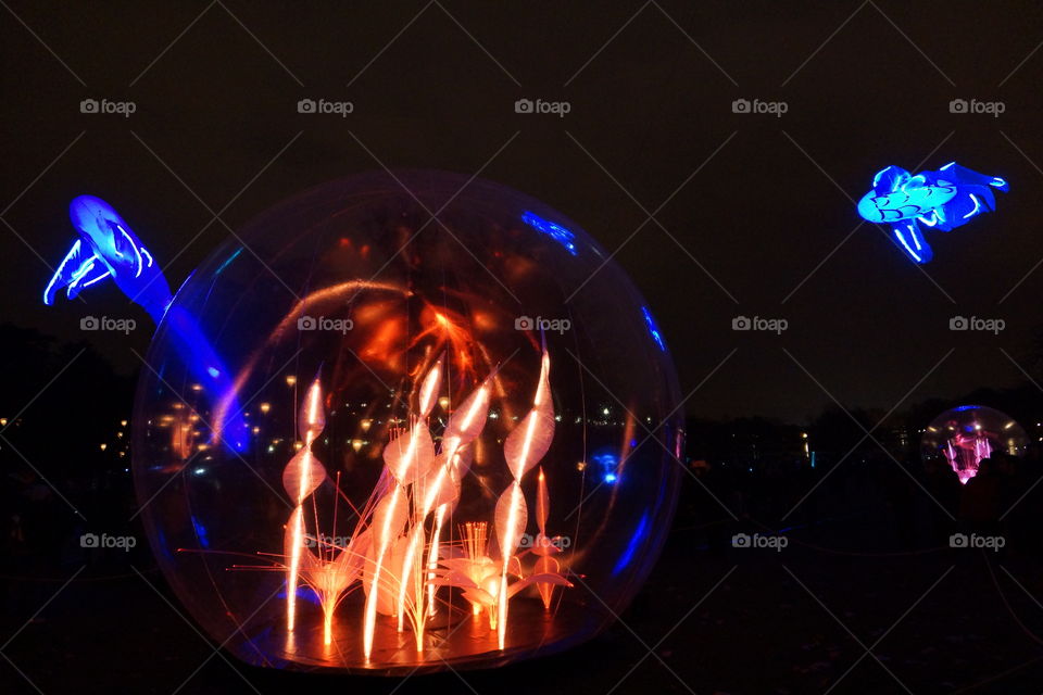 Fête des Lumières, Lyon 2014. Jardin d'Hiver au parc de la Tête d'Or de Lyon