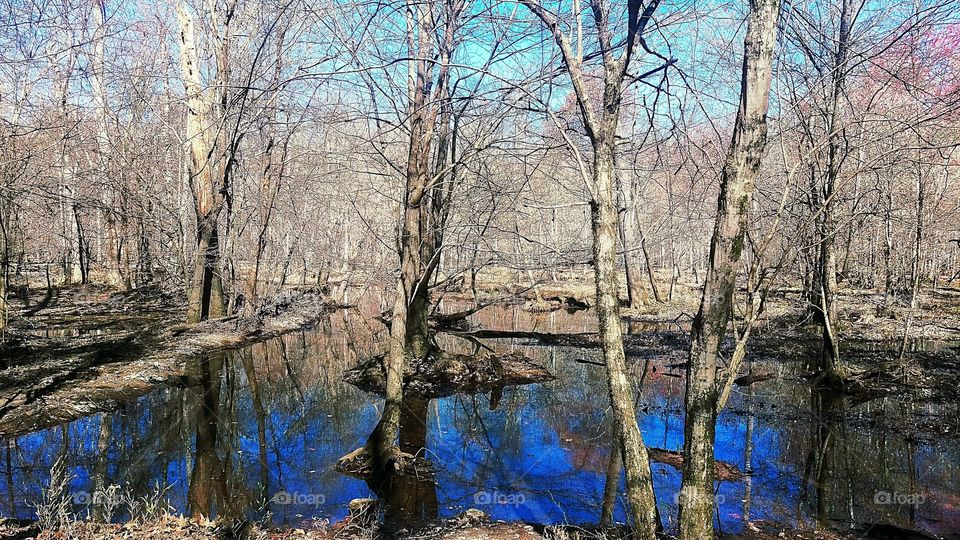 the marshlands of the city