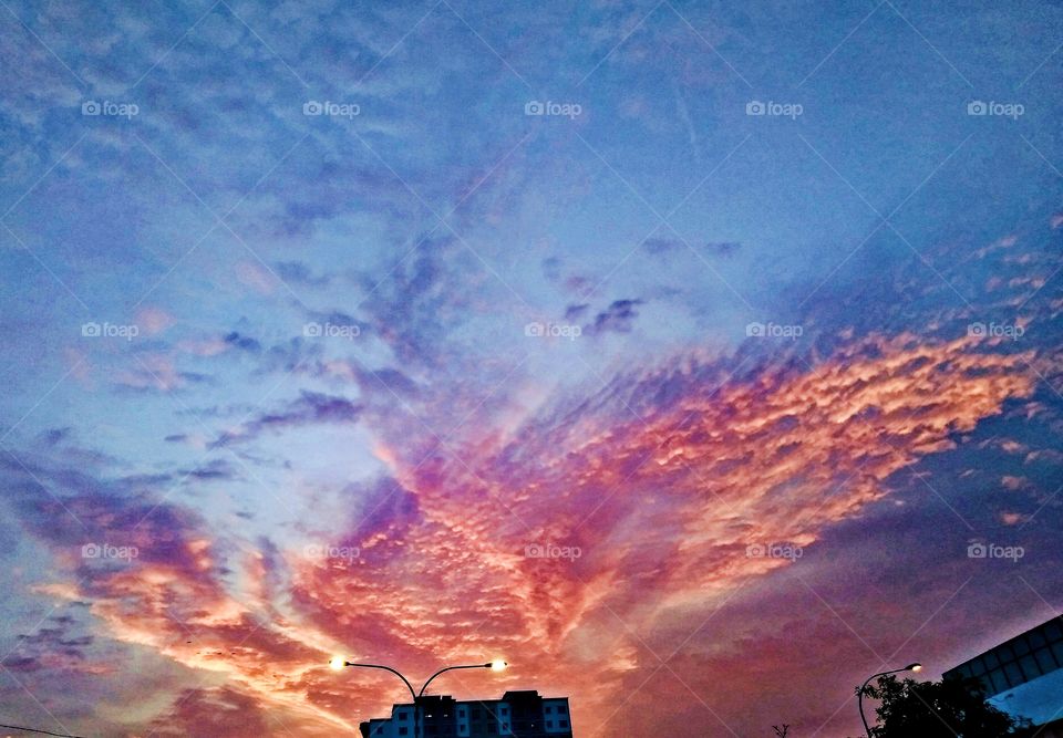 The clouds in the sunset.