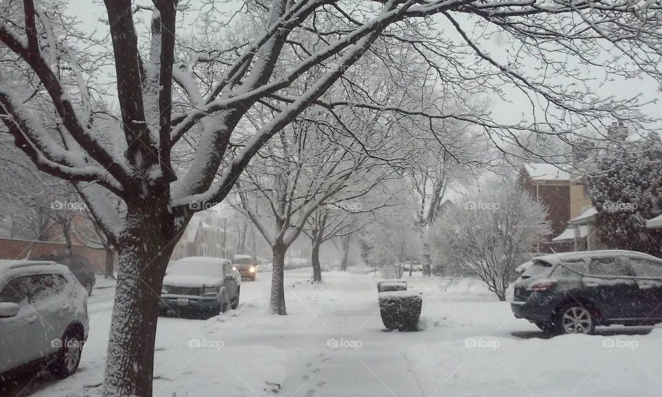 you can see the beauty in coldness