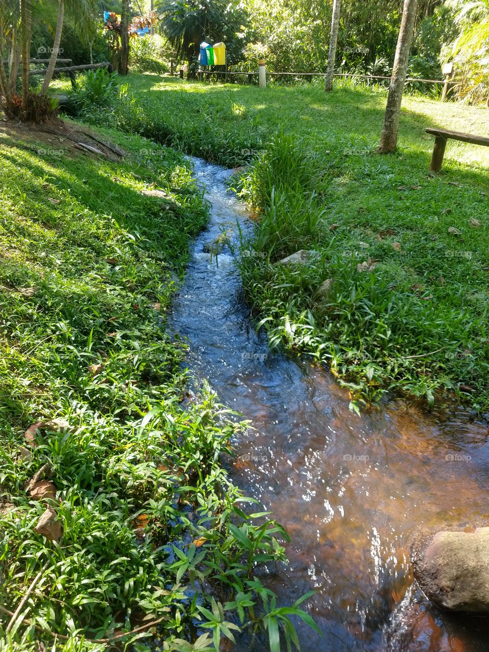 amo fotografar natureza