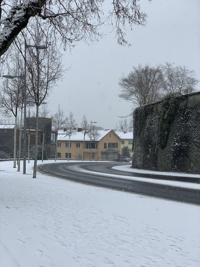 Swiss 