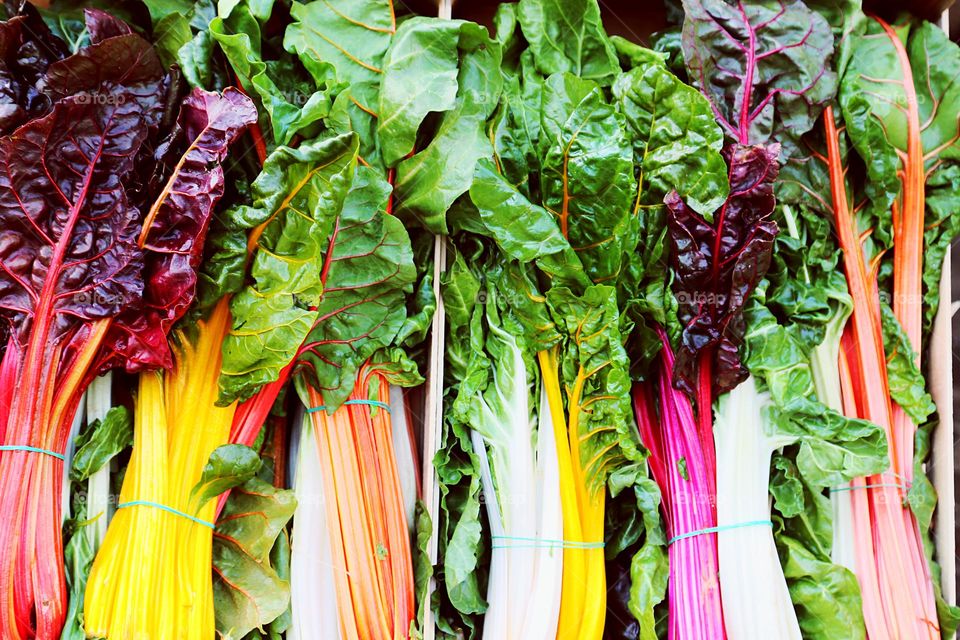 Colorful fresh chard