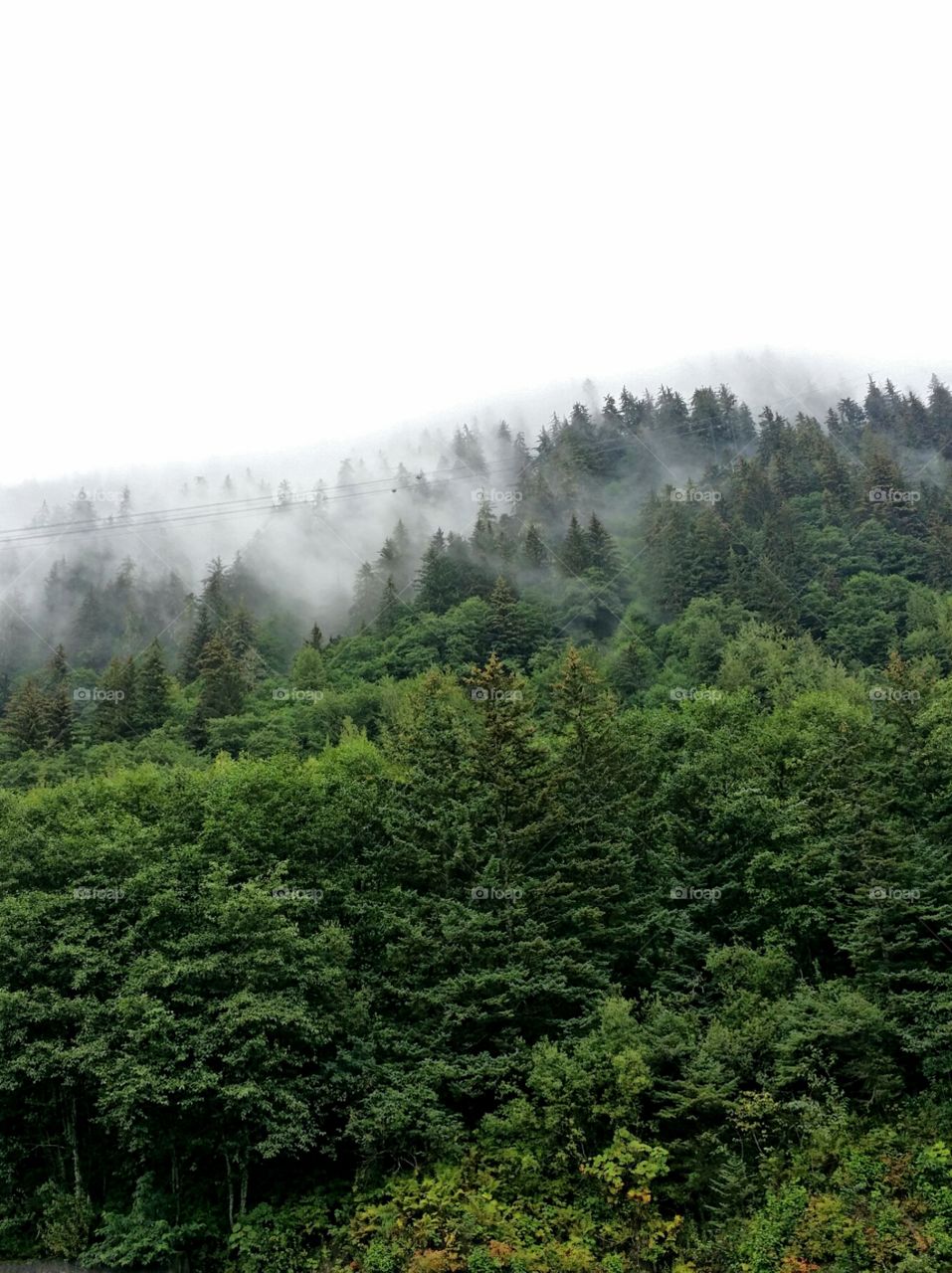 Beautiful mountains cover with trees and fog.
Juneau - Alaska