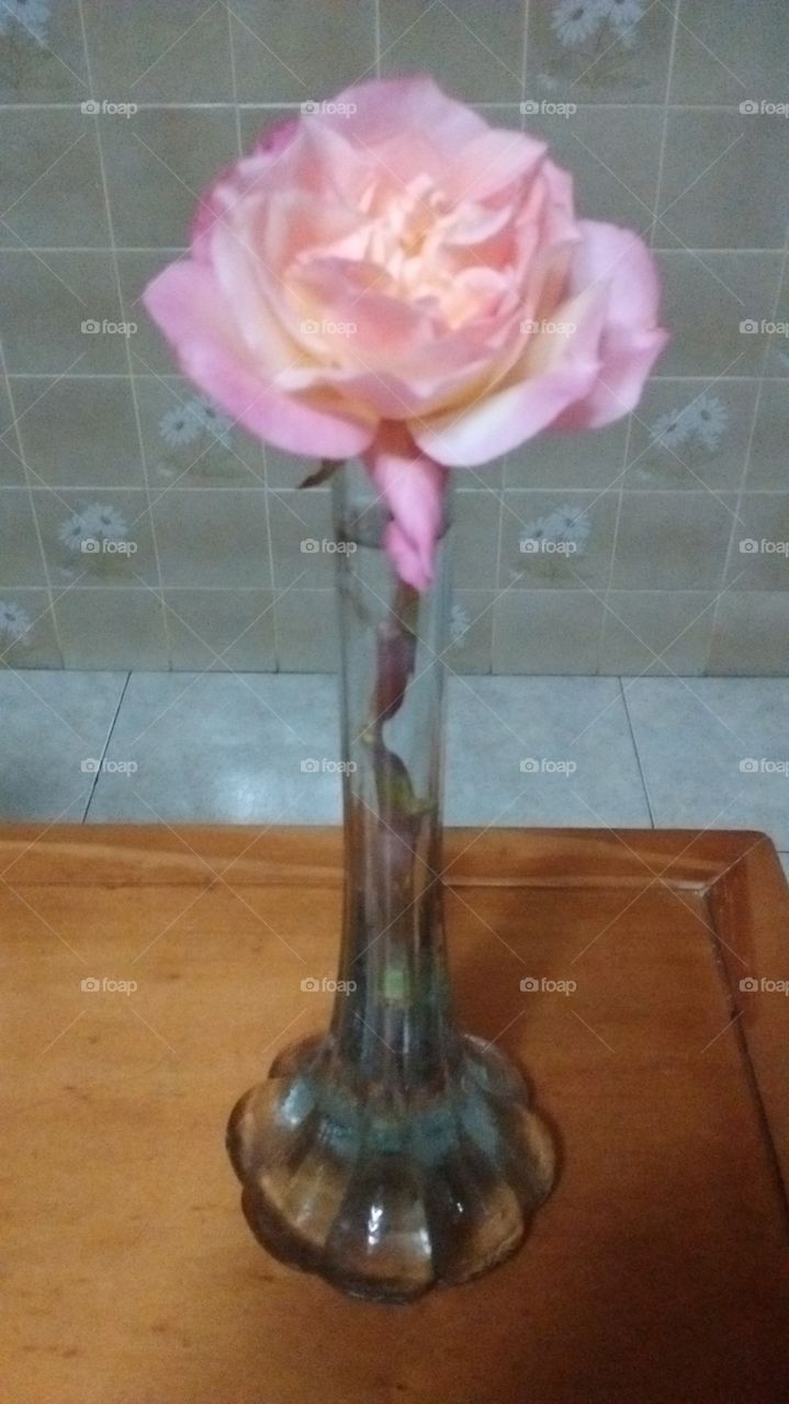 Um singelo buquê de flores para beleza e o dia. Delicadas e bonitas, as rosas nos encantam!