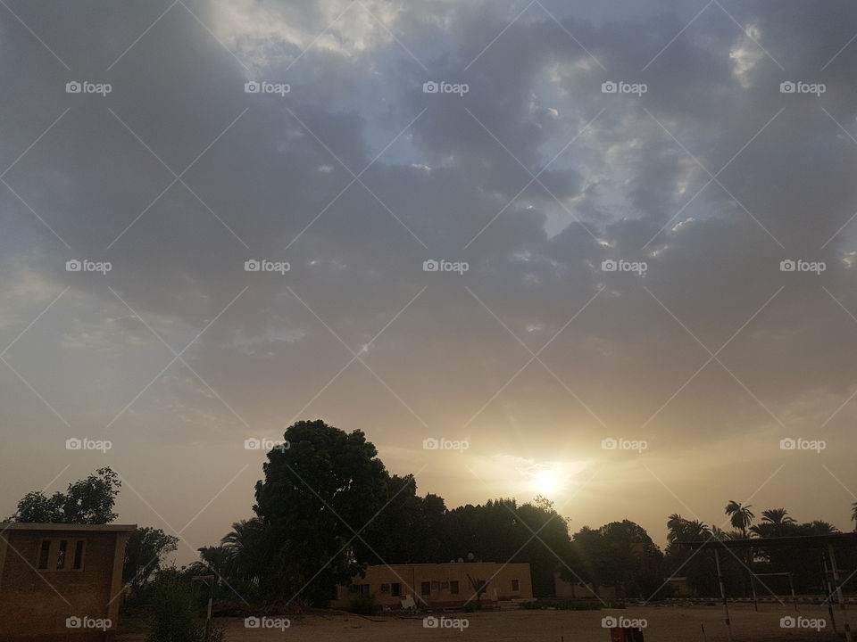 Nature - Sunset - Green - Trees - Cloudy - Egypt