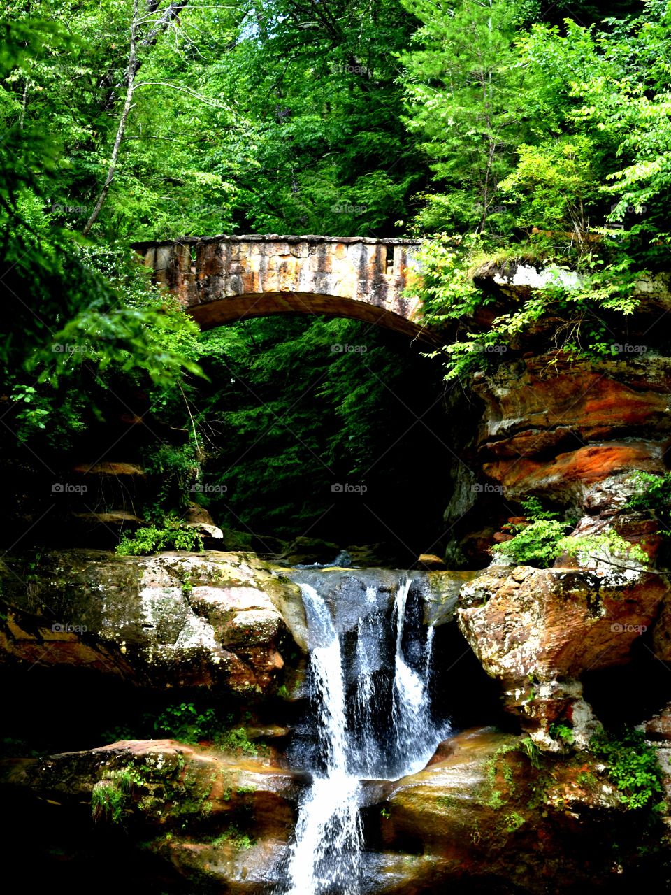 Hocking Hills Ohio State Park USA nature waterfall bridge trees
