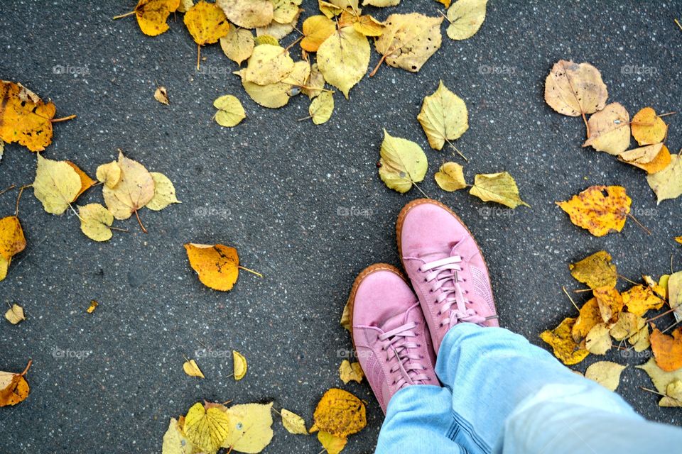 pink boots legs top view on a asphalt background and fallen leaves