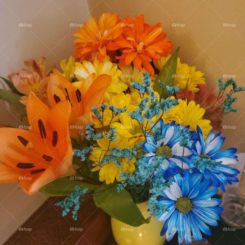 colorful flowers