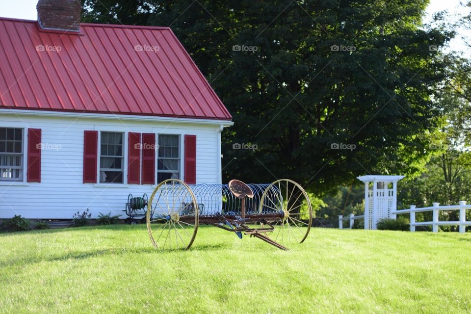Green grass front yard