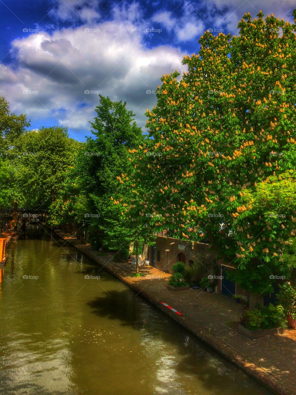Canal in Utrecht . Canal in Utecht
