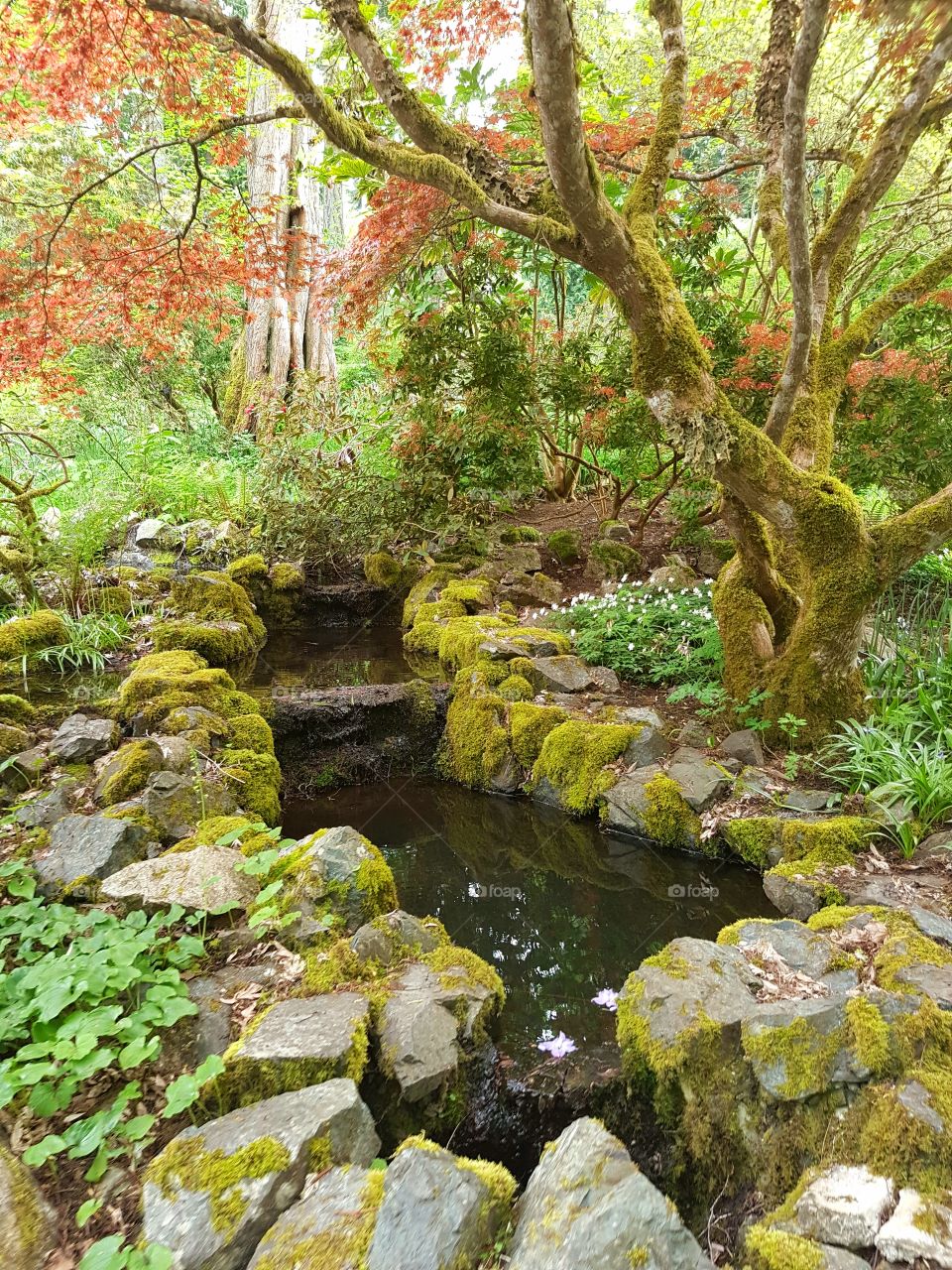 rock water fountain feature pond in Milner Gardens Park Canada