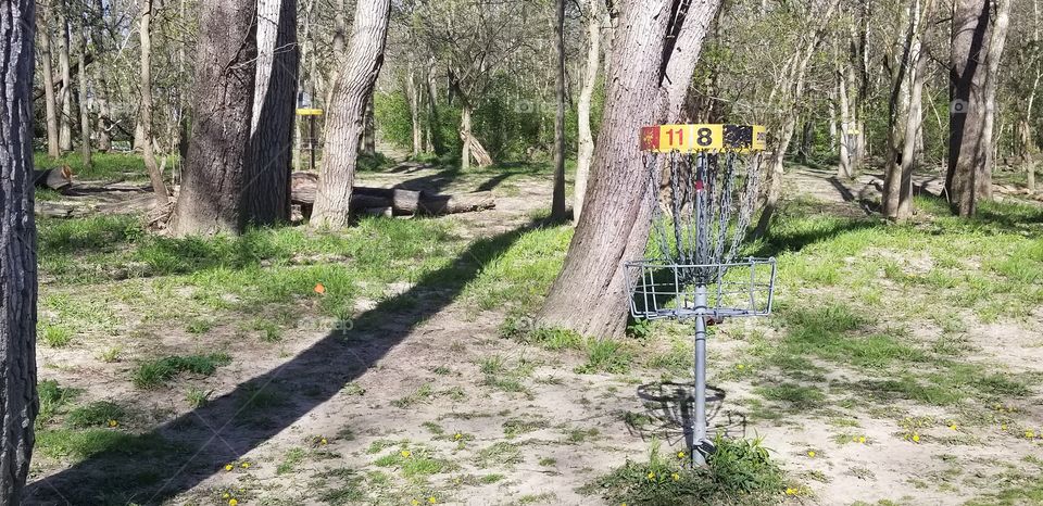 disc golf course in the woods