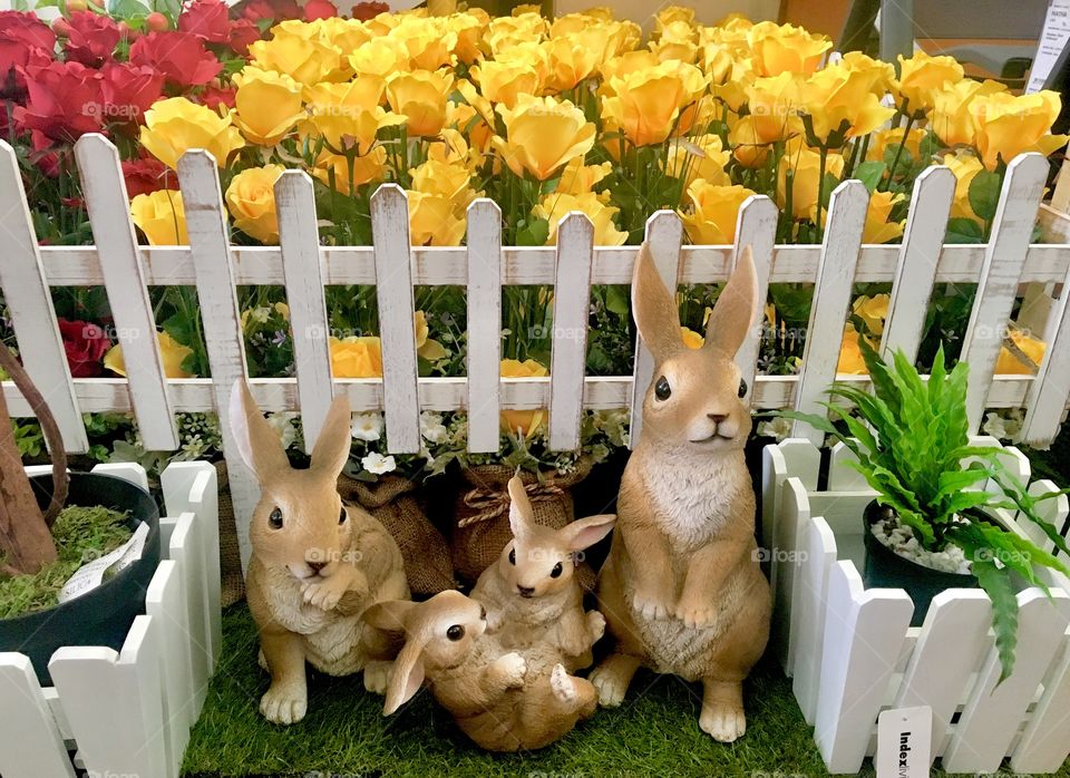 Little rabbit in flower garden