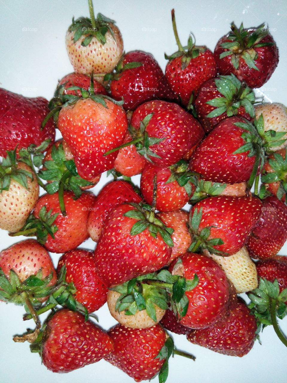 fruit. strawberry