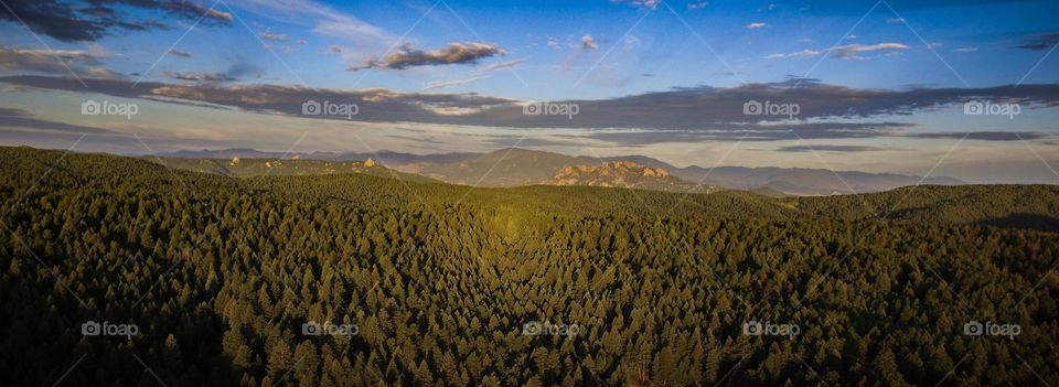 Drone flight over Colorado pines 