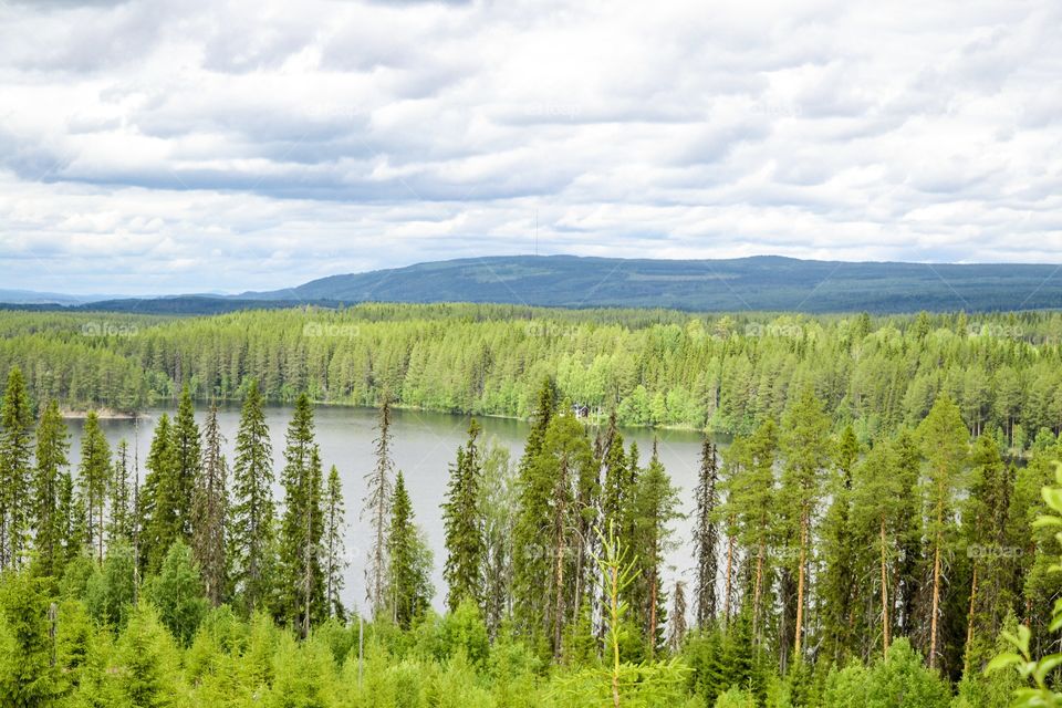 Landscape over lake, trees and mountain