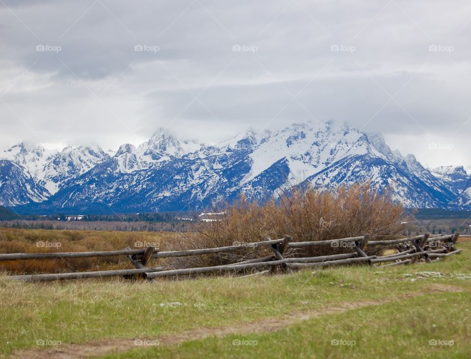 Fenced In Tetons