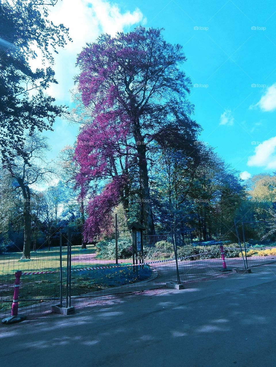 in a horticulture park