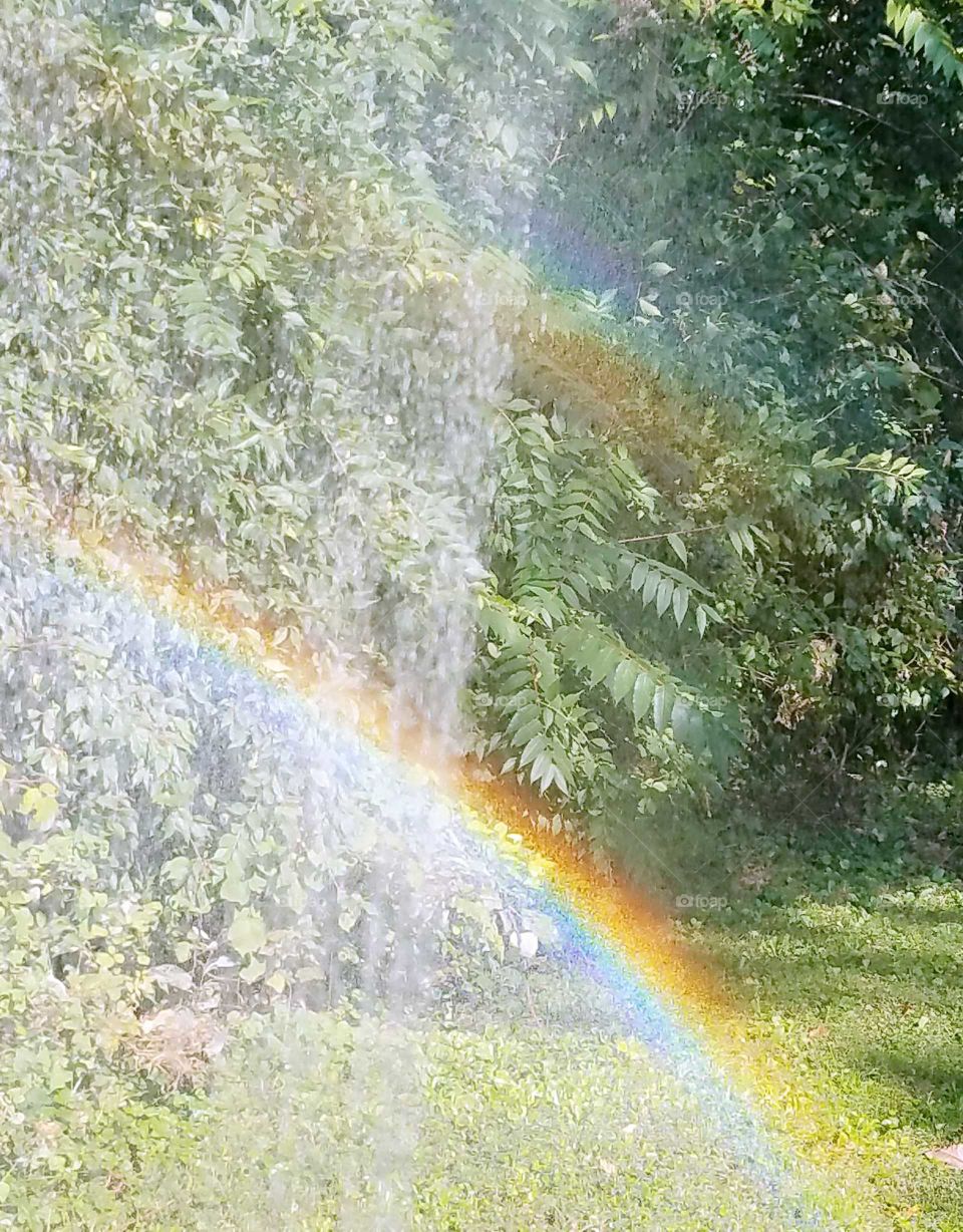 rainbows from watering the garden