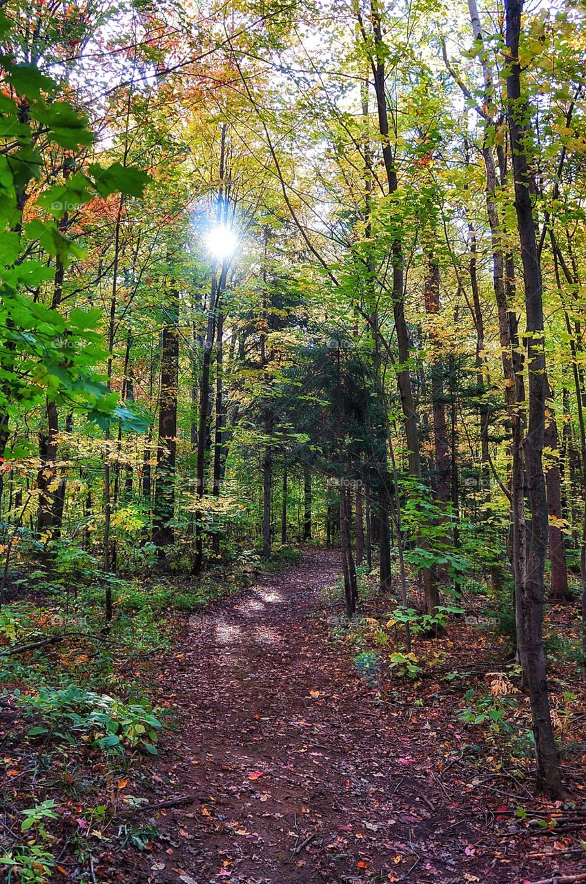 Fall in Québec 