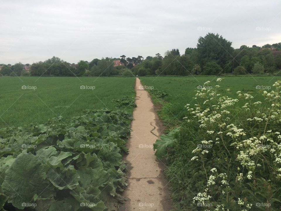 Field path