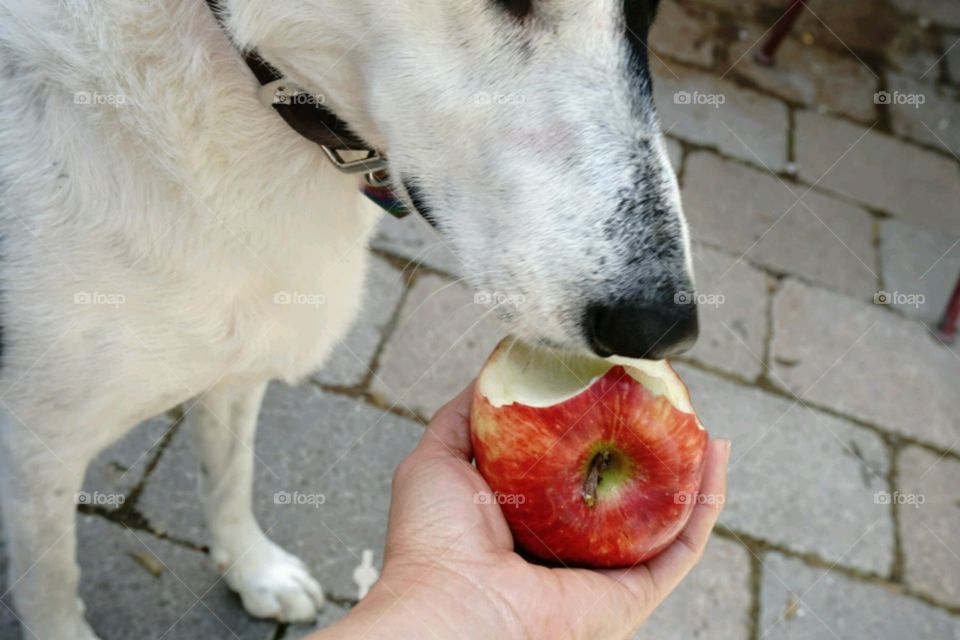 One apple a day, keep your doctor away