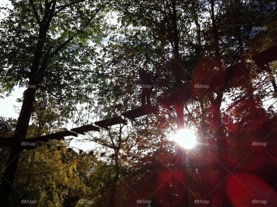 Tree climbing