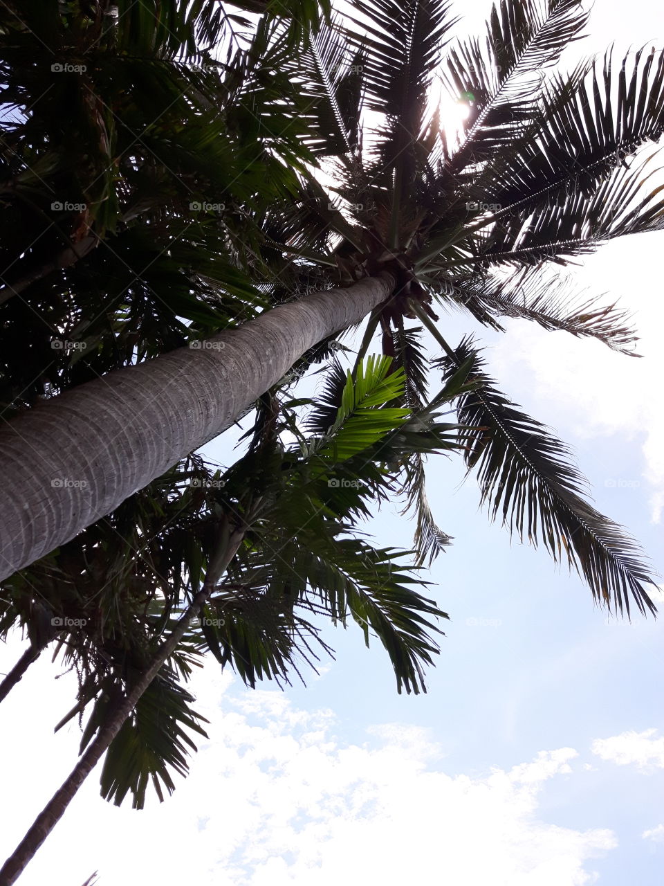 relaxing on the beach