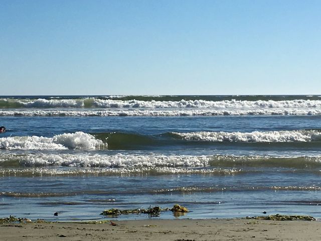 Waves